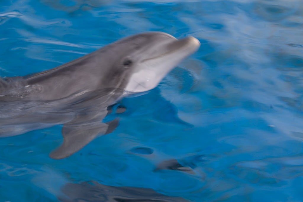 Sea World Trip 2009-27