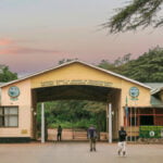 Photo Safari in Tanzania's Ngorongoro Crater