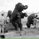 Old photo from State of Florida archives shows animals and trainers.