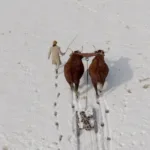 From Boston to the Delaware: When the Revolution Nearly Died and Was Reborn Screenshot 2026-01-05 at 6.14.07 AM